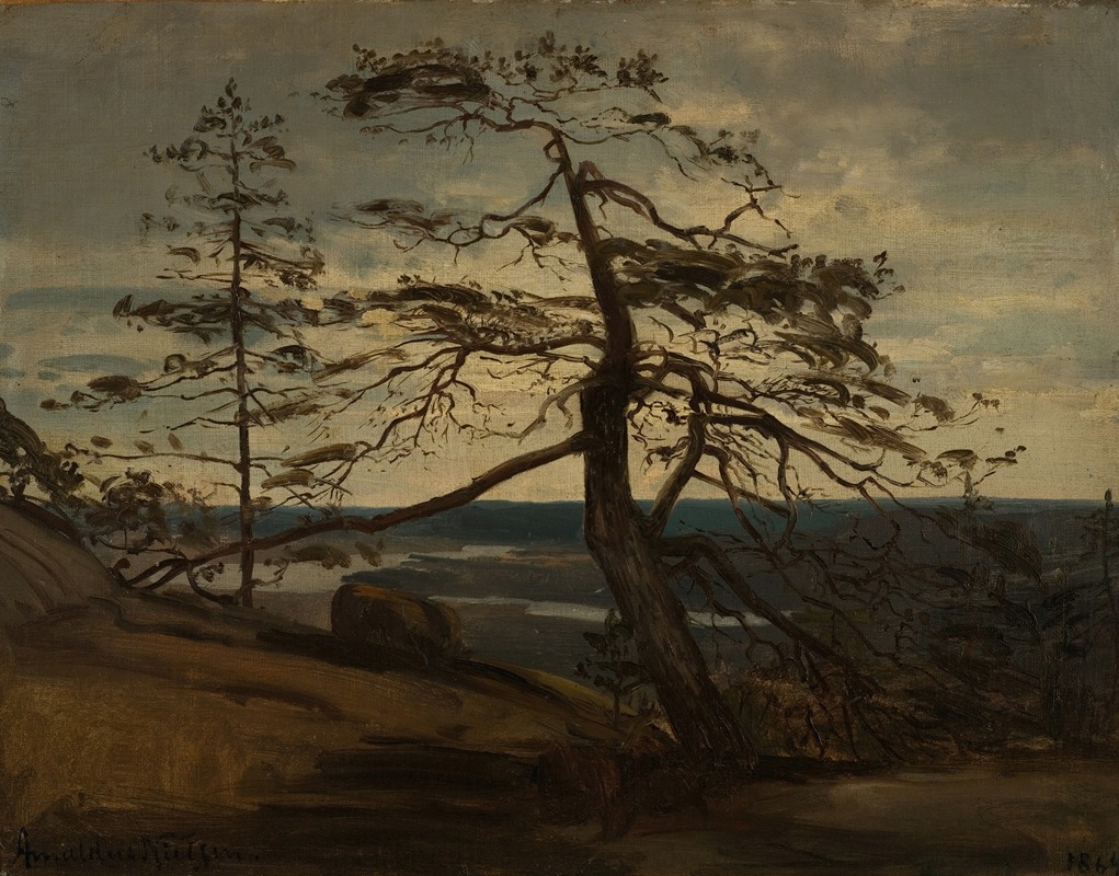 Fjellfuru, Setesdal